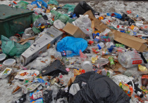 Минприроды разослало по регионам особые рекомендации