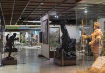 Один на все: в музеях города внедряют единые билеты