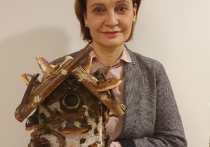 Реализация идей: что притягивает к краудсорсингу постоянных участников