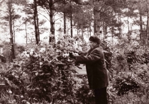 «Первый среди равных»: Игорь Курчатов