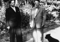 «Слойка Сахарова»