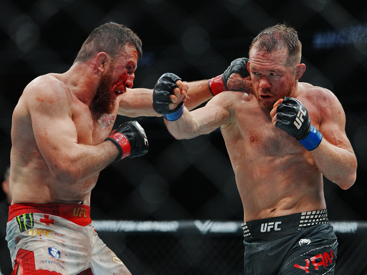 Стерлинг оценил шансы Двалишвили в бою с Яном