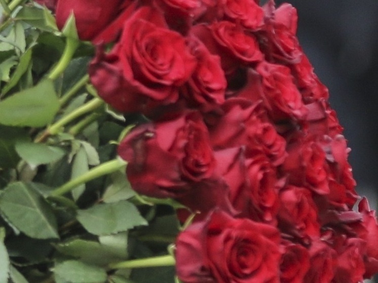 Погибший в зоне СВО актёр посмертно награждён орденом Мужества