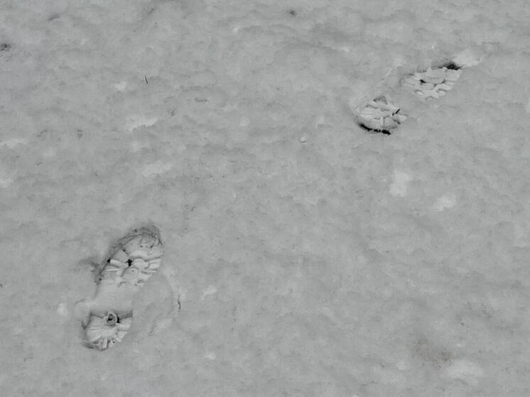 Обвиняемый в убийствах экс-полковник петербургской полиции Смирнов пропал на СВО