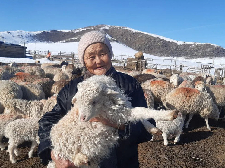 75-летняя чабанка из Бурятии рассказала, как вера в людей спасла дело ее жизни