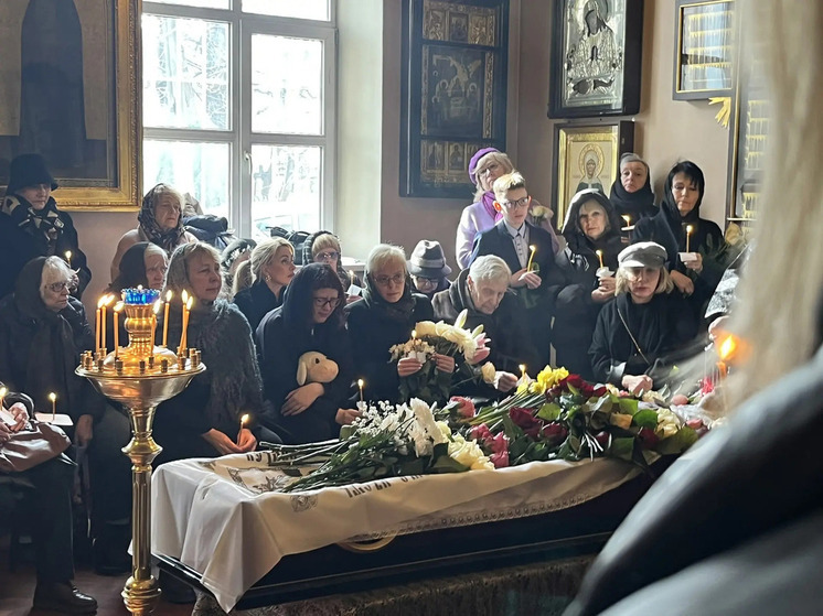 В Петербурге простились с женой актера Олега Басилашвили, а в Ессентуках кот обесточил половину города, забравшись на подстанцию: картина дня в регионах России глазами «МК»