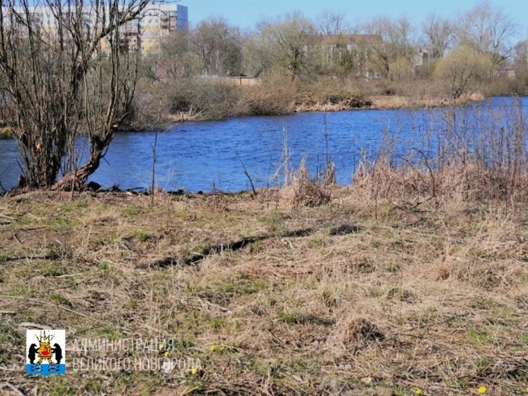 В парке «Чистые пруды» укрепят берега и построят мостик для перехода на мыс