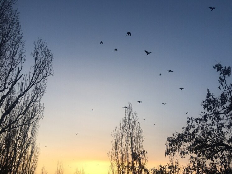 Опасность атаки БПЛА отступила от Воронежской области