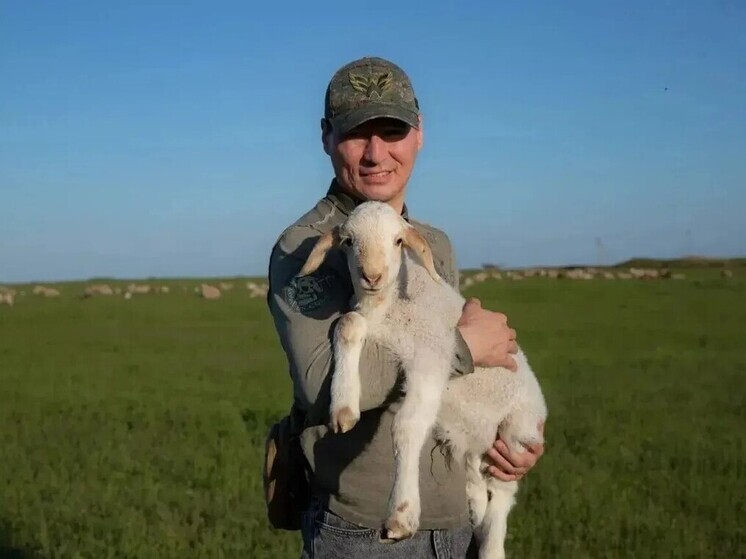 Животноводческие хозяйства Калмыкии приступили к расплодной кампании