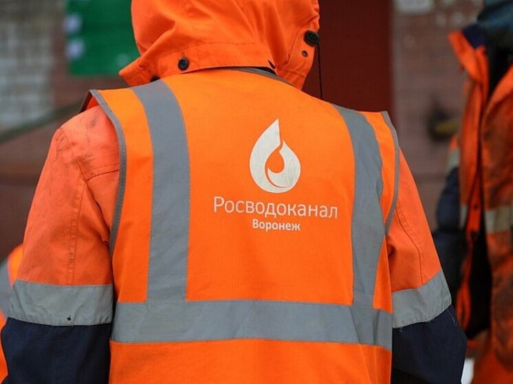 Пост экс-мэра Воронежа в РВК займет Сергей Болгов