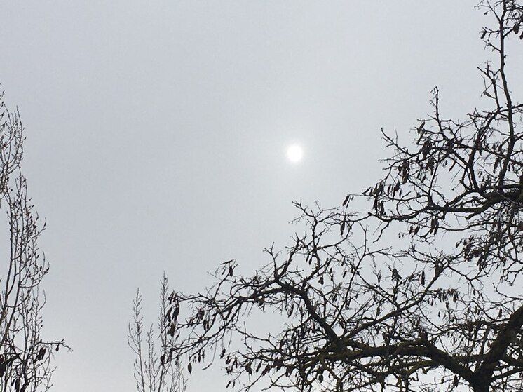 Утром в пятницу в сторону Воронежской области направились БПЛА