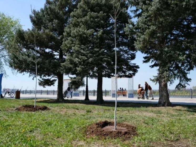 На набережной Волги в Астрахани появился «Сад Памяти»