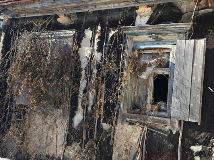 В воронежском опустевшем хуторе объявлен карантин по бешенству животного