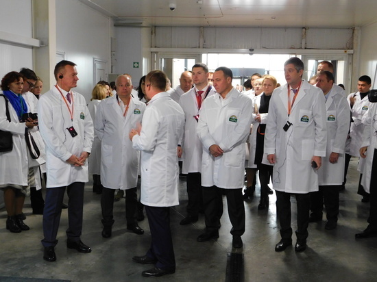 Губернатор Курской области и другие гости на открытии Грибной радуги