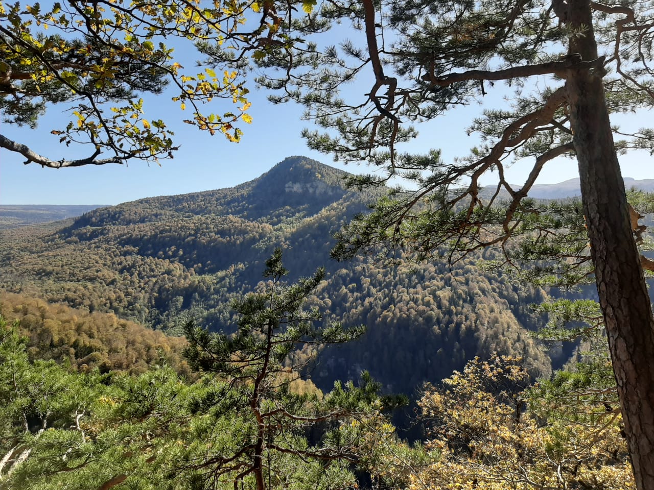 Бальнеокурорт Александра Удодова расположен в живописных предгорьях Кавказа