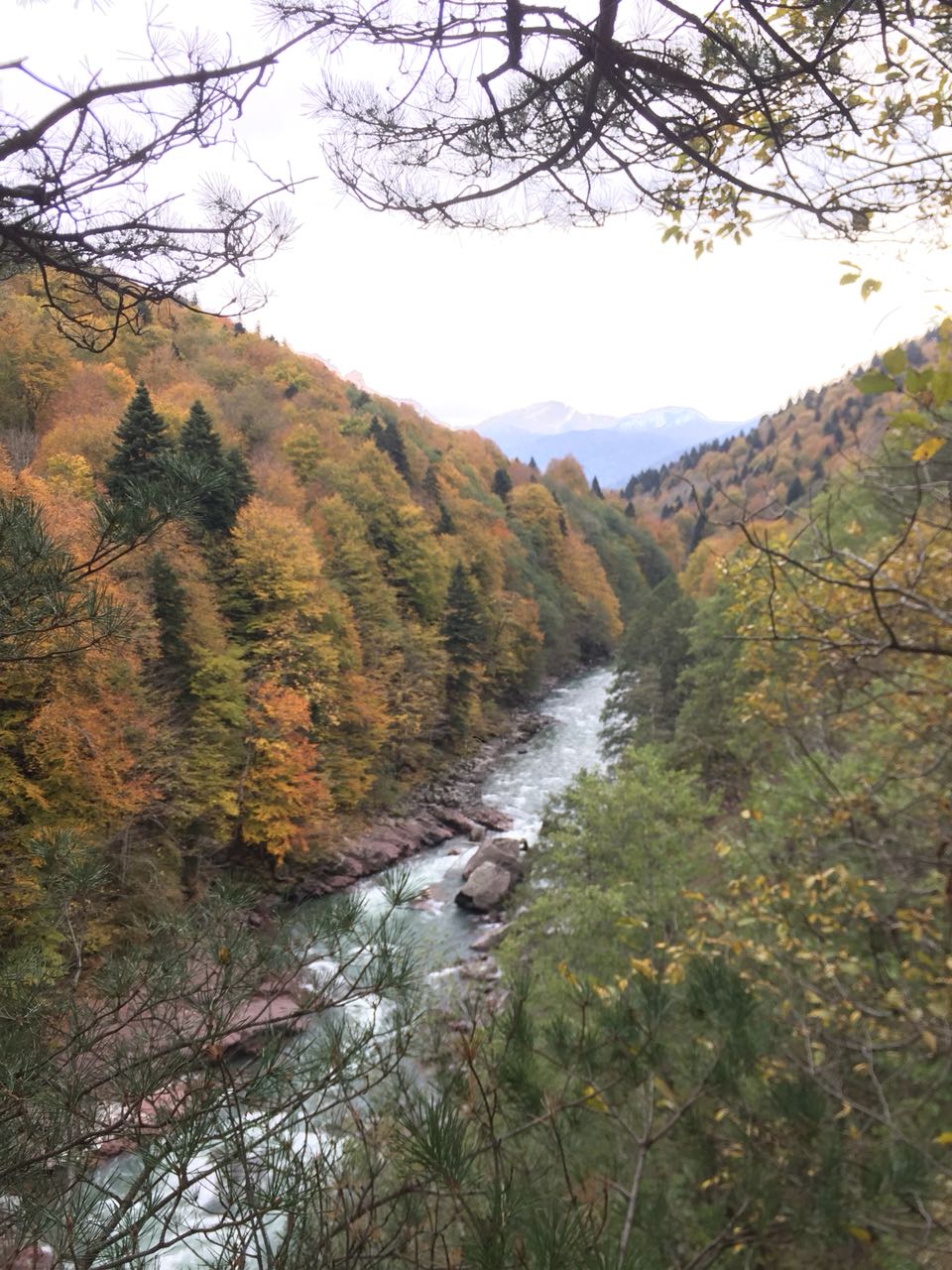 Термы Александра Удодова расположены в живописных предгорьях Кавказа